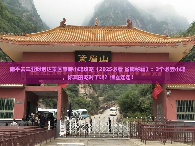 南平去三亚呀诺达景区旅游小吃