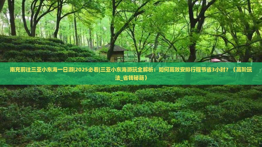 南充前往三亚小东海一日游