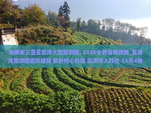 海南去三亚亚龙湾大型旅游团