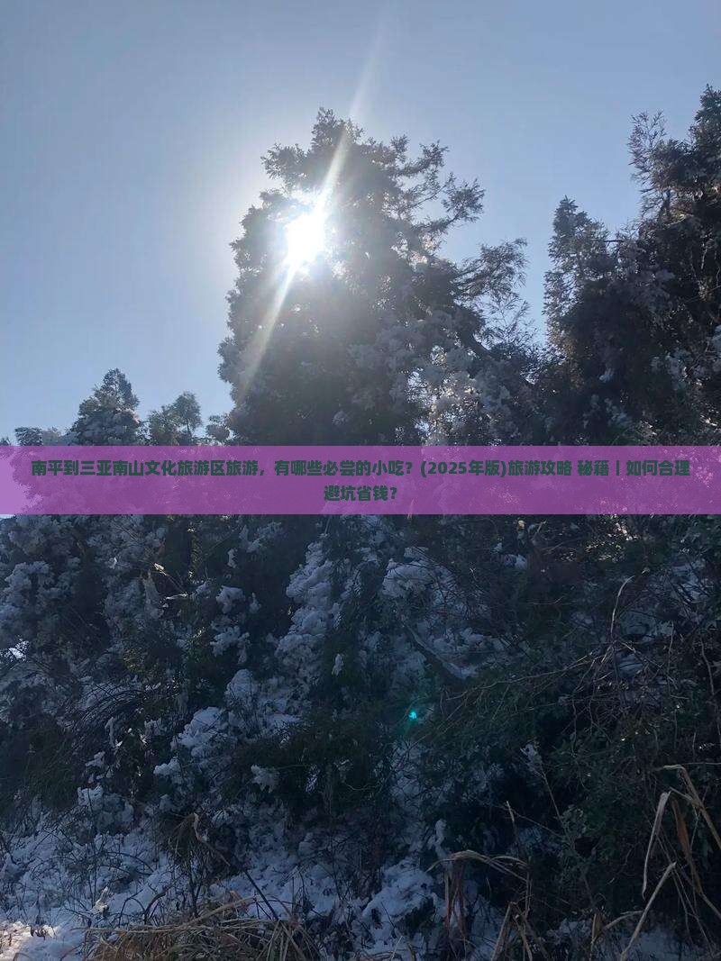 南平出发三亚南山文化旅游区旅游小吃