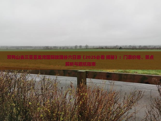 双鸭山去三亚亚龙湾国际玫瑰谷六日游