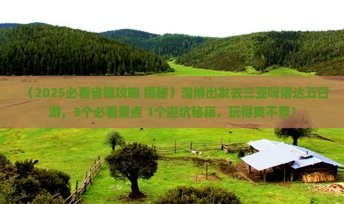 淄博前往三亚呀诺达景区五日游