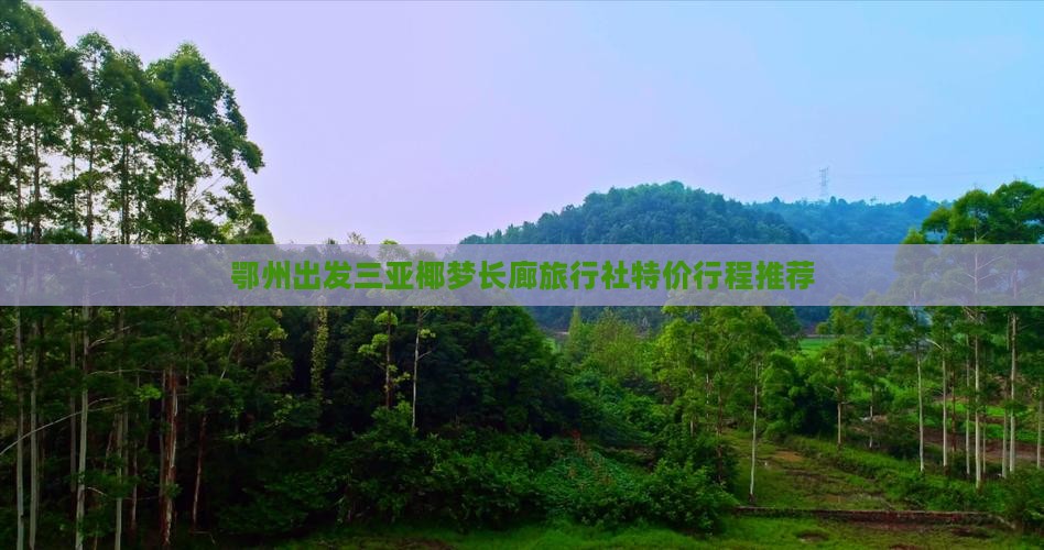 鄂州出发三亚椰梦长廊旅行社