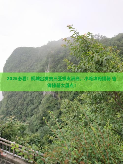桐城去三亚蜈支洲岛旅游小吃