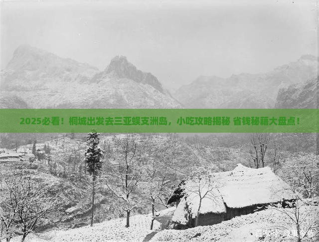 桐城去三亚蜈支洲岛旅游小吃
