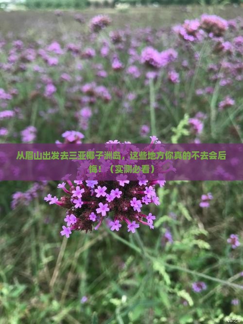 眉山出发三亚椰子洲岛必玩地