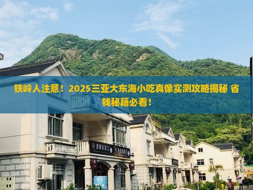 铁岭去三亚大东海旅游小吃