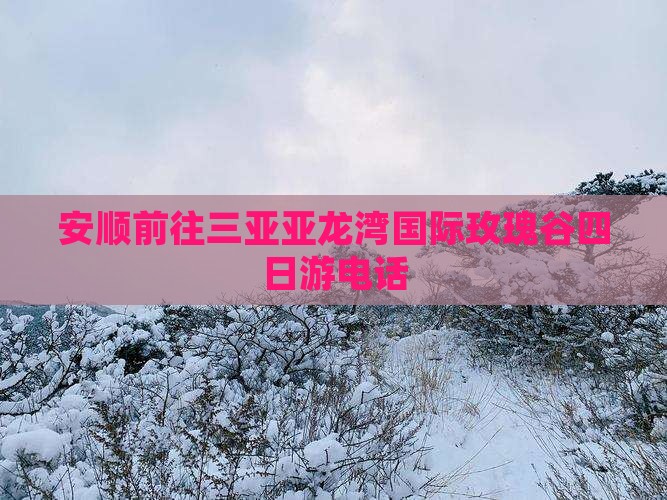 安顺前往三亚亚龙湾国际玫瑰谷四日游