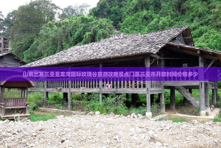 山南出发三亚亚龙湾国际玫瑰谷门票