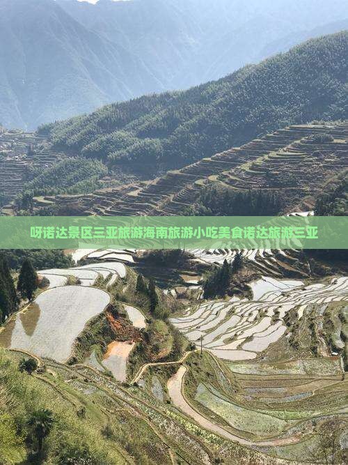 恩施前往三亚呀诺达景区旅游小吃