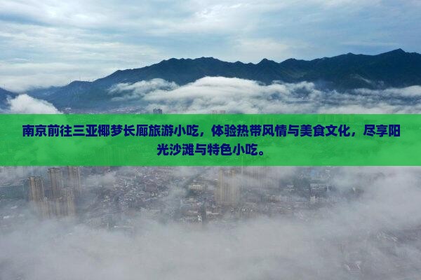 南京前往三亚椰梦长廊旅游小吃