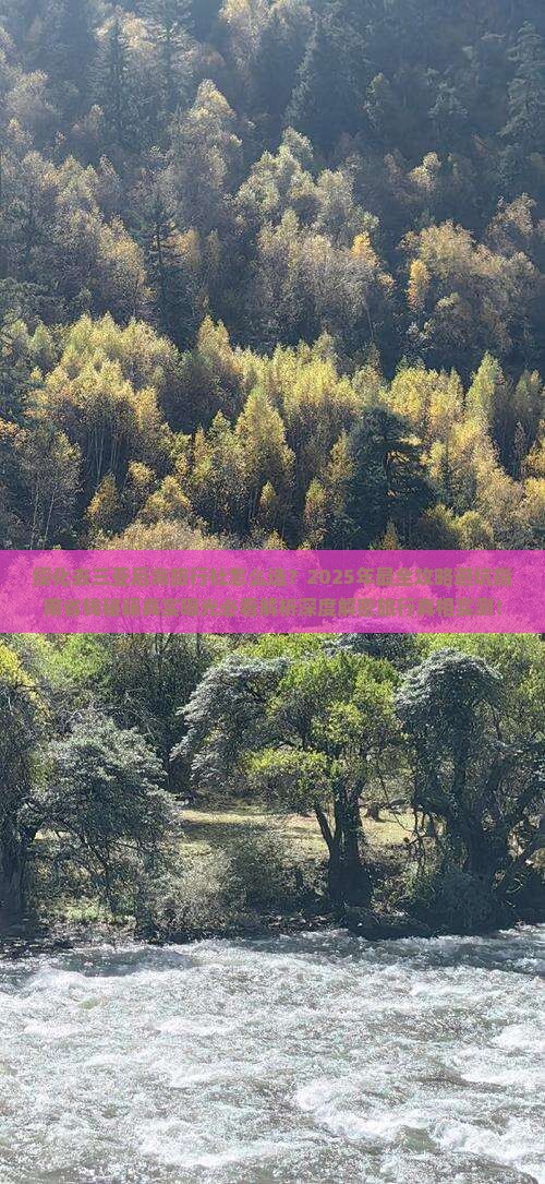 绥化去三亚后海旅行社
