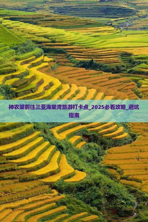 神农架前往三亚海棠湾旅游打卡点