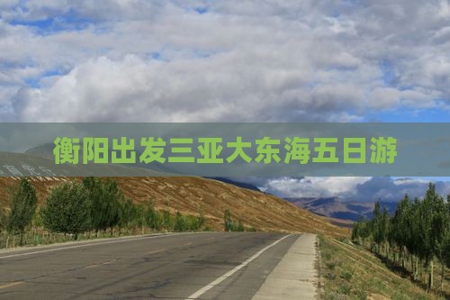 衡阳出发三亚大东海五日游