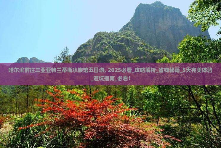 哈尔滨前往三亚亚特兰蒂斯水族馆五日游