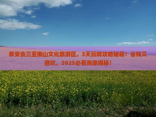 泰安去三亚南山文化旅游区哪里玩