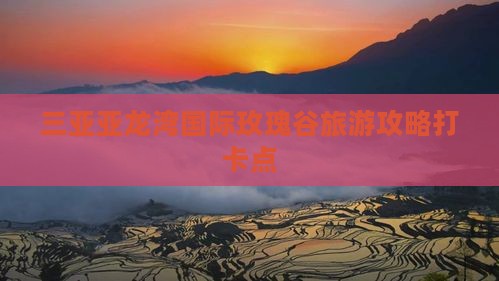 双鸭山前往三亚亚龙湾国际玫瑰谷旅游打卡点