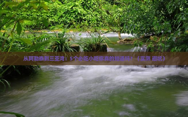 阿勒泰前往三亚三亚湾旅游小吃