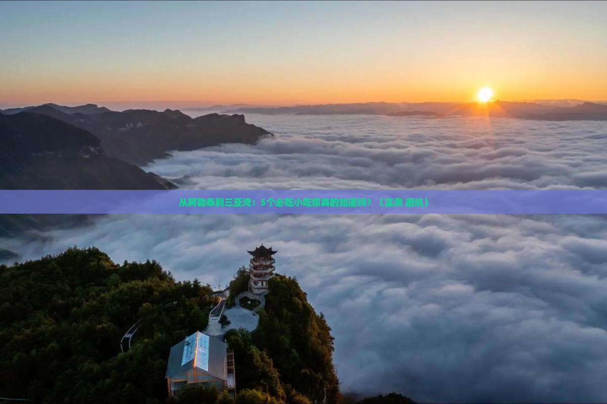 阿勒泰前往三亚三亚湾旅游小吃