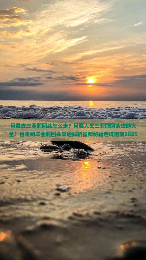 吕梁去三亚鹿回头攻略