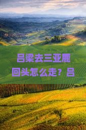 吕梁去三亚鹿回头攻略