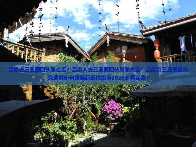 吕梁去三亚鹿回头攻略