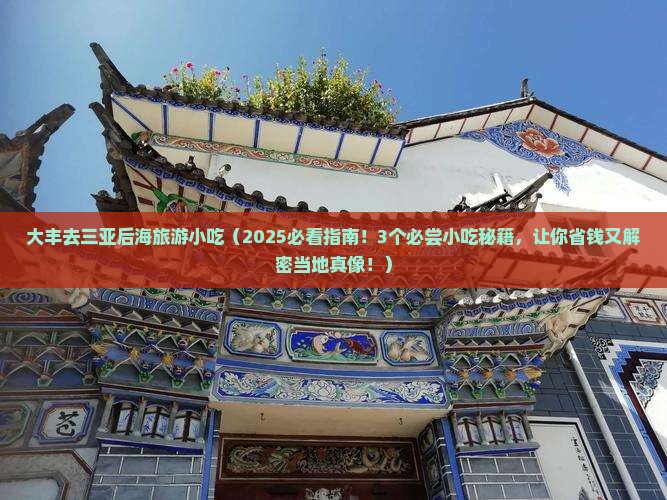 大丰去三亚后海旅游小吃