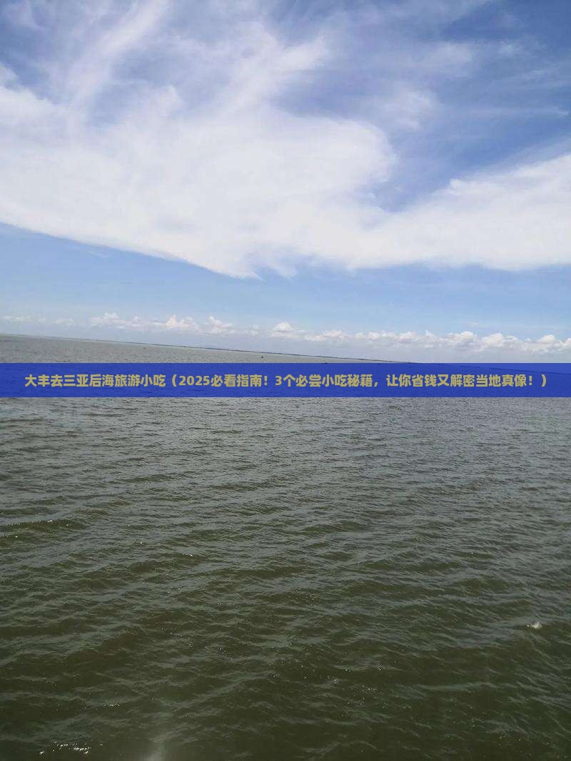 大丰去三亚后海旅游小吃