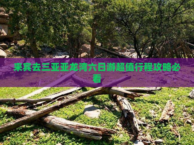 来宾去三亚亚龙湾六日游