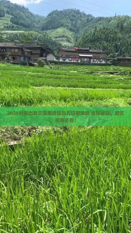 长春出发三亚南湾猴岛五日游