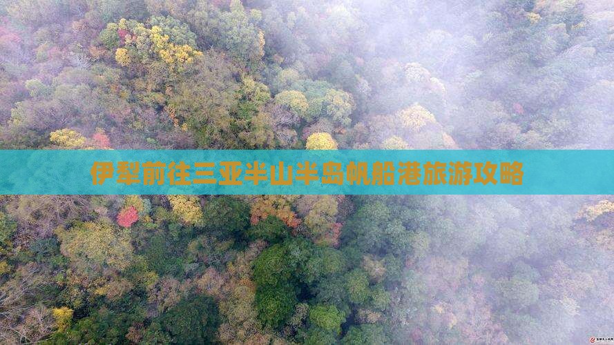 伊犁前往三亚半山半岛帆船港旅游