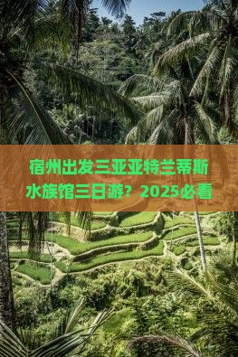 宿州出发三亚亚特兰蒂斯水族馆三日游