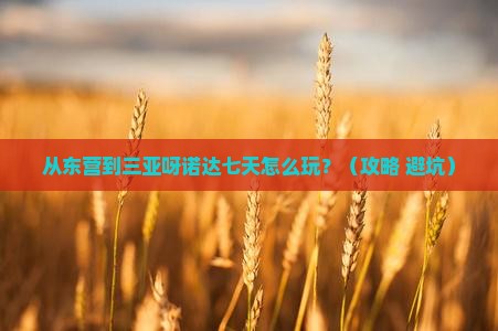 东营前往三亚呀诺达景区七日游