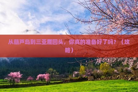 葫芦岛前往三亚鹿回头个人游