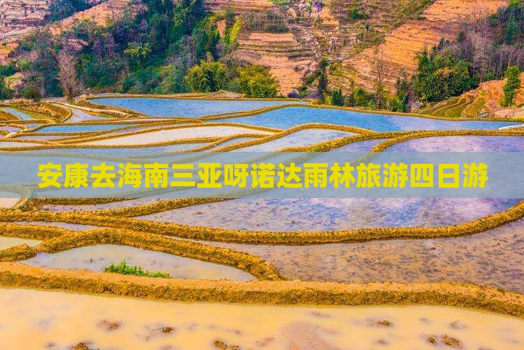 安康去三亚呀诺达景区四日游