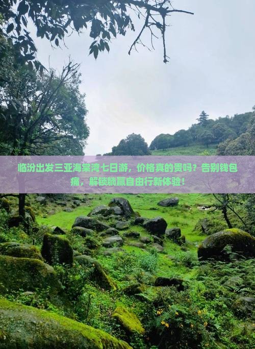 临汾出发三亚海棠湾七日游