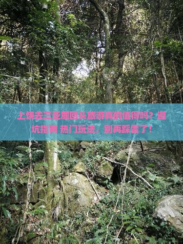 上饶前往三亚鹿回头旅游