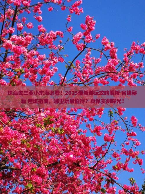 珠海去三亚小东海哪里玩