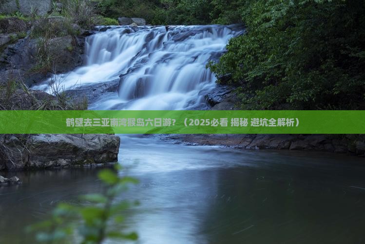 鹤壁去三亚南湾猴岛六日游