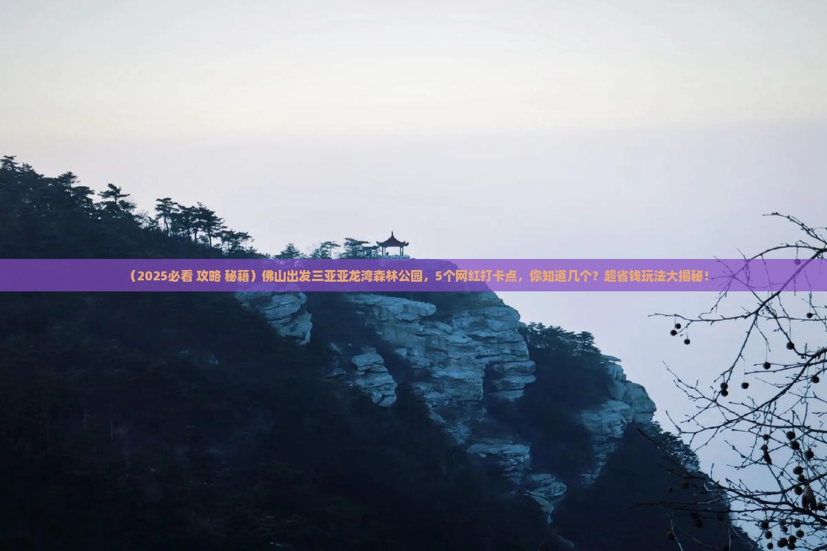 佛山出发三亚亚龙湾热带森林公园旅游网红地点