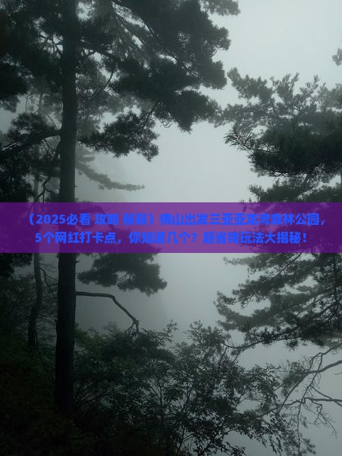 佛山出发三亚亚龙湾热带森林公园旅游网红地点