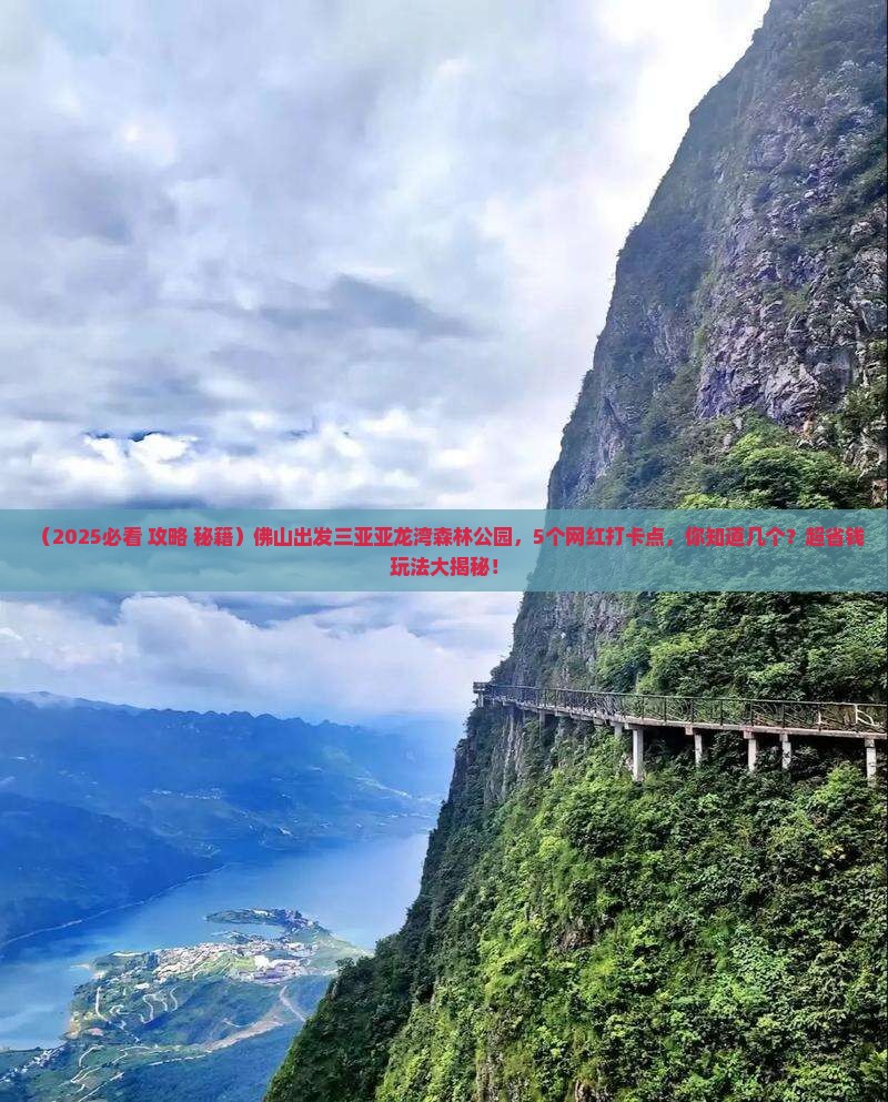 佛山出发三亚亚龙湾热带森林公园旅游网红地点