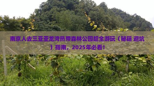 南京前往三亚亚龙湾热带森林公园大型旅游团