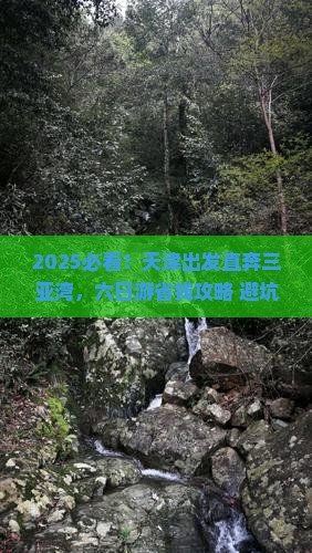 天津前往三亚三亚湾六日游