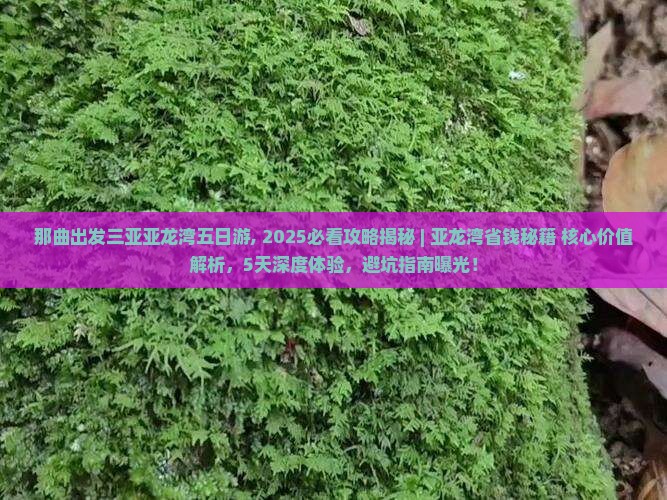 那曲出发三亚亚龙湾五日游