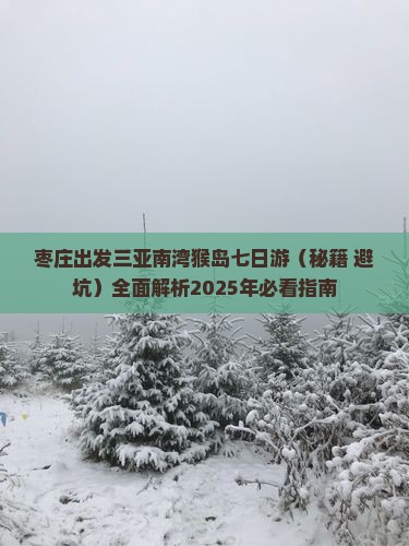 枣庄出发三亚南湾猴岛七日游