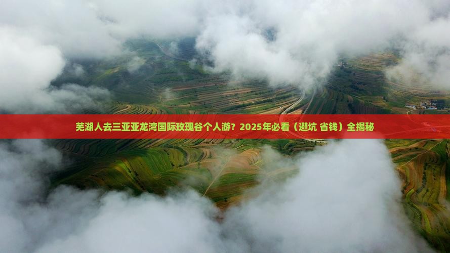 芜湖去三亚亚龙湾国际玫瑰谷个人游