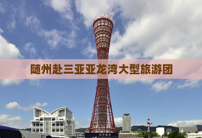随州去三亚亚龙湾大型旅游团