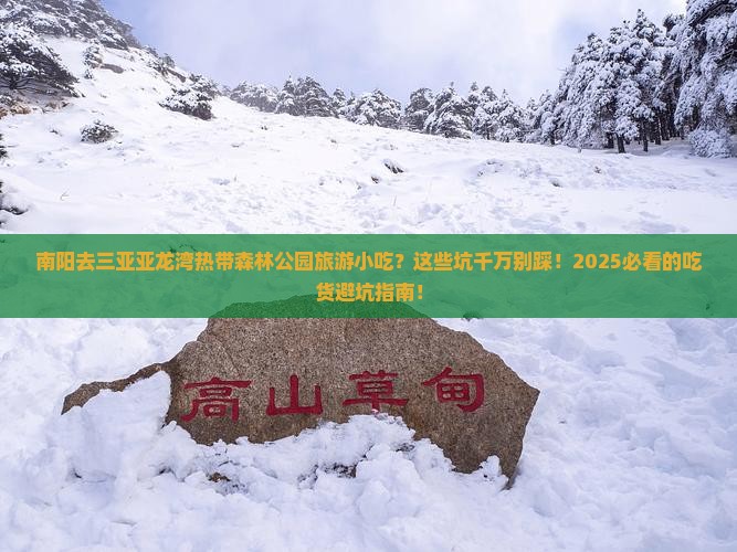 南阳去三亚亚龙湾热带森林公园旅游小吃