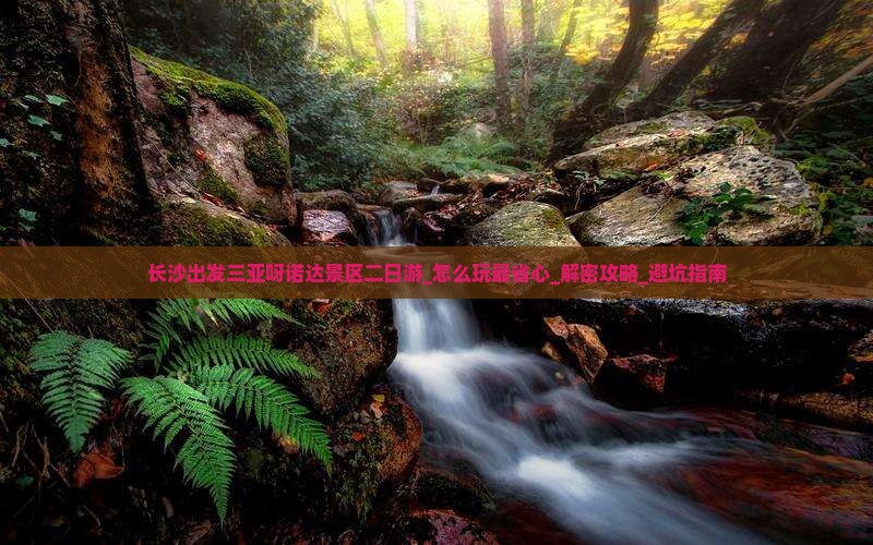 长沙出发三亚呀诺达景区二日游